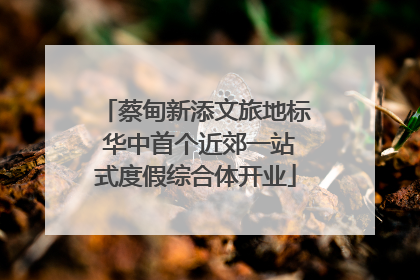 蔡甸新添文旅地标 华中首个近郊一站式度假综合体开业