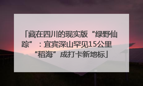 藏在四川的现实版“绿野仙踪”：宜宾深山罕见15公里“稻海”成打卡新地标
