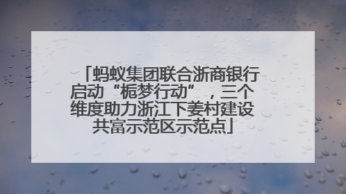 蚂蚁集团联合浙商银行启动“栀梦行动”，三个维度助力浙江下姜村建设共富示范区示范点