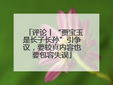 评论丨“贾宝玉是长子长孙”引争议，要较真内容也要包容失误
