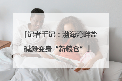 记者手记：渤海湾畔盐碱滩变身“新粮仓”