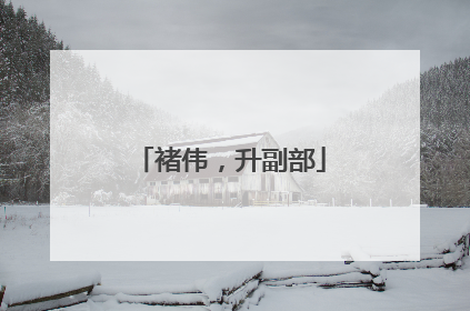 褚伟，升副部