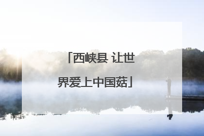 西峡县 让世界爱上中国菇