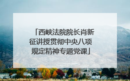 西峡法院院长肖新征讲授贯彻中央八项规定精神专题党课