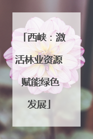 西峡：激活林业资源 赋能绿色发展