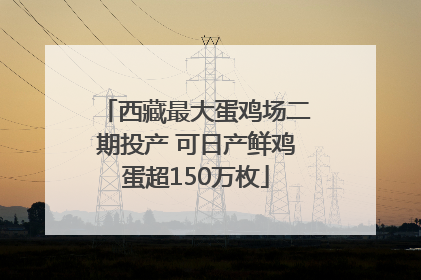 西藏最大蛋鸡场二期投产 可日产鲜鸡蛋超150万枚