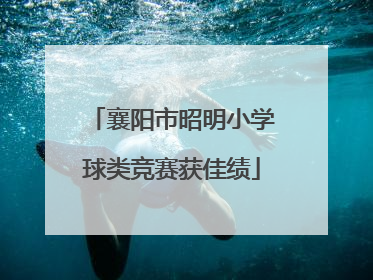 襄阳市昭明小学球类竞赛获佳绩
