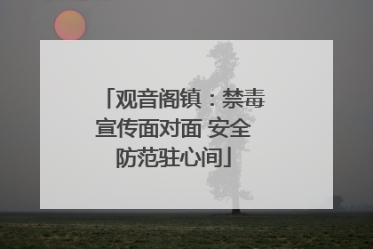 观音阁镇：禁毒宣传面对面 安全防范驻心间