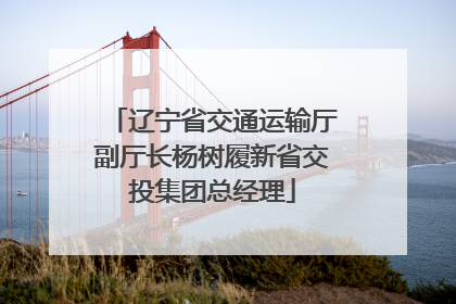 辽宁省交通运输厅副厅长杨树履新省交投集团总经理