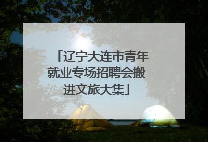 辽宁大连市青年就业专场招聘会搬进文旅大集