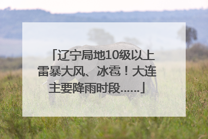 辽宁局地10级以上雷暴大风、冰雹！大连主要降雨时段……