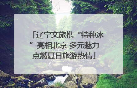 辽宁文旅携“特种冰”亮相北京 多元魅力点燃夏日旅游热情