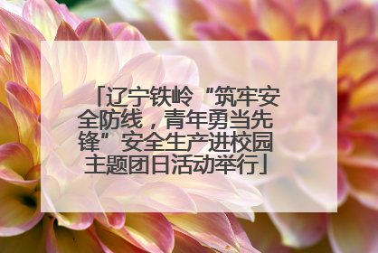 辽宁铁岭“筑牢安全防线，青年勇当先锋”安全生产进校园主题团日活动举行