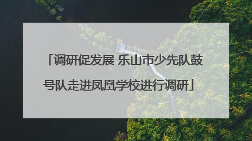 调研促发展 乐山市少先队鼓号队走进凤凰学校进行调研