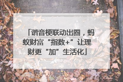 谐音梗联动出圈，蚂蚁财富“指数+”让理财更“加”生活化