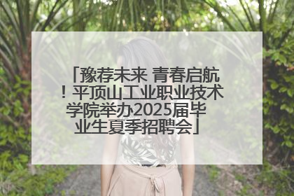 豫荐未来 青春启航！平顶山工业职业技术学院举办2025届毕业生夏季招聘会