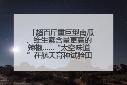 超百斤重巨型南瓜、维生素含量更高的辣椒……“太空味道”在航天育种试验田里拔节生长