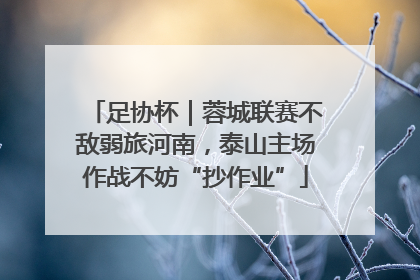 足协杯｜蓉城联赛不敌弱旅河南，泰山主场作战不妨“抄作业”