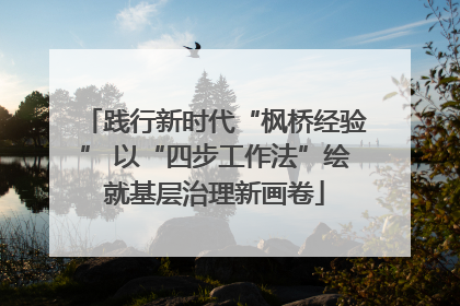 践行新时代“枫桥经验” 以“四步工作法”绘就基层治理新画卷