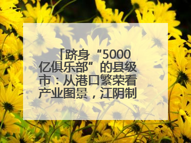 跻身“5000亿俱乐部”的县级市：从港口繁荣看产业图景，江阴制造链通全球