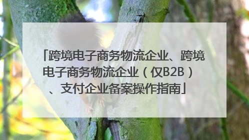 跨境电子商务物流企业、跨境电子商务物流企业（仅B2B）、支付企业备案操作指南