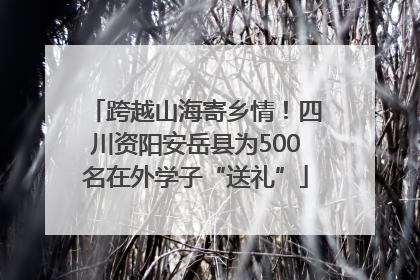 跨越山海寄乡情！四川资阳安岳县为500名在外学子“送礼”