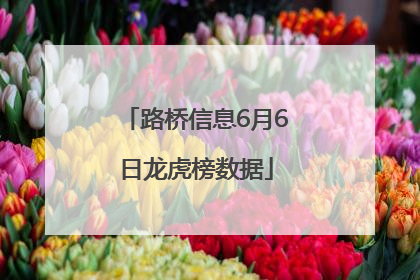 路桥信息6月6日龙虎榜数据
