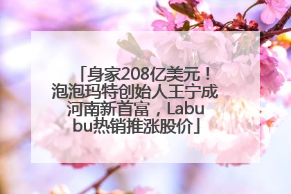 身家208亿美元！泡泡玛特创始人王宁成河南新首富，Labubu热销推涨股价