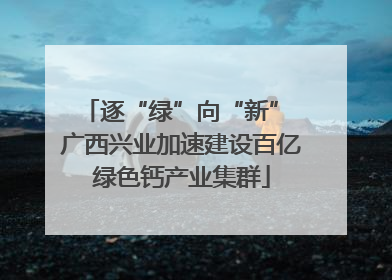 逐“绿”向“新” 广西兴业加速建设百亿绿色钙产业集群