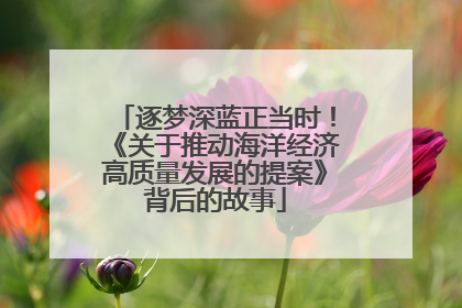 逐梦深蓝正当时！《关于推动海洋经济高质量发展的提案》背后的故事