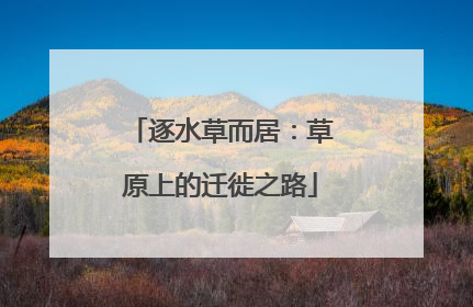 逐水草而居：草原上的迁徙之路
