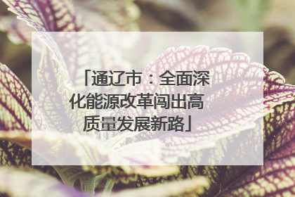 通辽市：全面深化能源改革闯出高质量发展新路