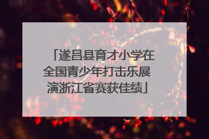遂昌县育才小学在全国青少年打击乐展演浙江省赛获佳绩