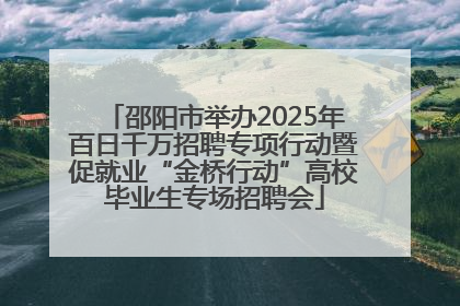 邵阳市举办2025年百日千万招聘专项行动暨促就业“金桥行动”高校毕业生专场招聘会