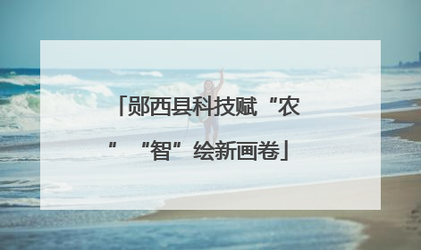 郧西县科技赋“农”“智”绘新画卷