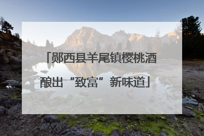 郧西县羊尾镇樱桃酒酿出“致富”新味道