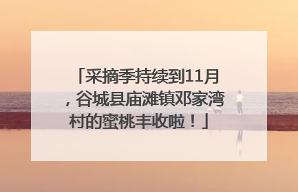 采摘季持续到11月，谷城县庙滩镇邓家湾村的蜜桃丰收啦！