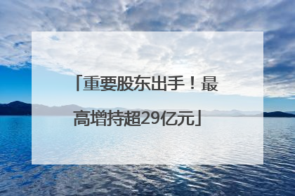 重要股东出手！最高增持超29亿元