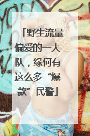 野生流量偏爱的一大队，缘何有这么多“爆款”民警