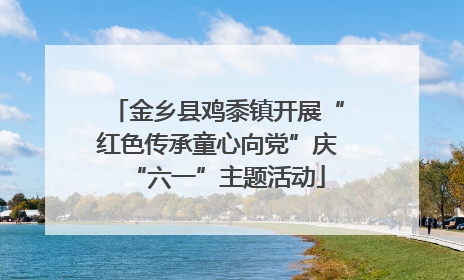 金乡县鸡黍镇开展“红色传承童心向党”庆“六一”主题活动