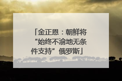金正恩：朝鲜将“始终不渝地无条件支持”俄罗斯
