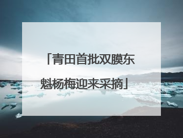 青田首批双膜东魁杨梅迎来采摘