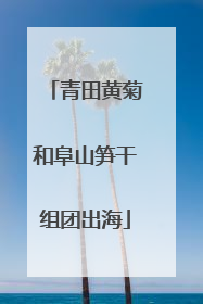 青田黄菊和阜山笋干组团出海