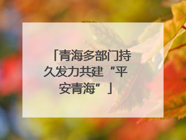 青海多部门持久发力共建“平安青海”