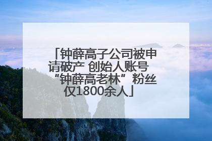 钟薛高子公司被申请破产 创始人账号“钟薛高老林”粉丝仅1800余人