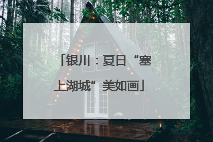银川：夏日“塞上湖城”美如画