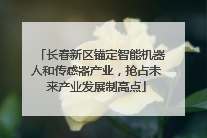 长春新区锚定智能机器人和传感器产业，抢占未来产业发展制高点