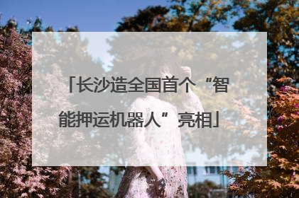 长沙造全国首个“智能押运机器人”亮相