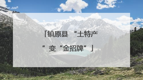 镇原县 “土特产”变“金招牌”