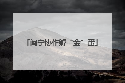 闽宁协作孵“金”蛋